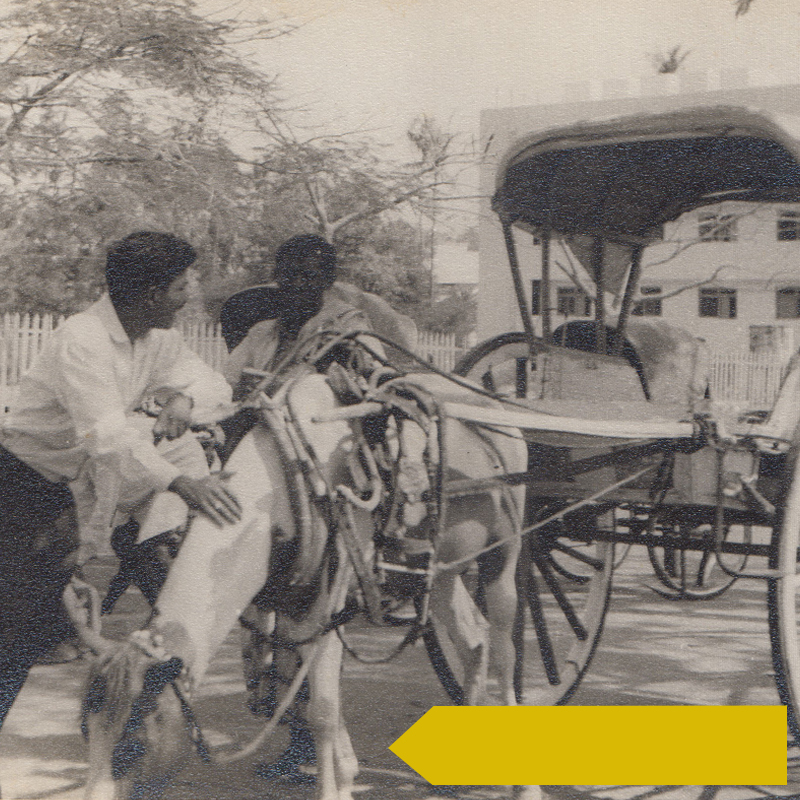 Buggies of Nizam's reign